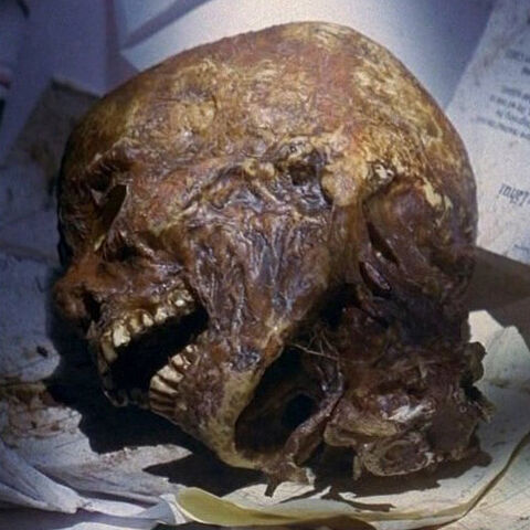 File:3x10-rogers-head-CU.jpg