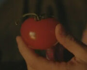 6x10-Tomato