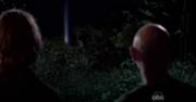 Swanlight.jpg