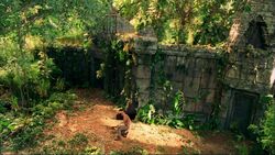 5x05-tempel-jin.jpg