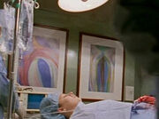 3x16-Bilder-Stab.jpg