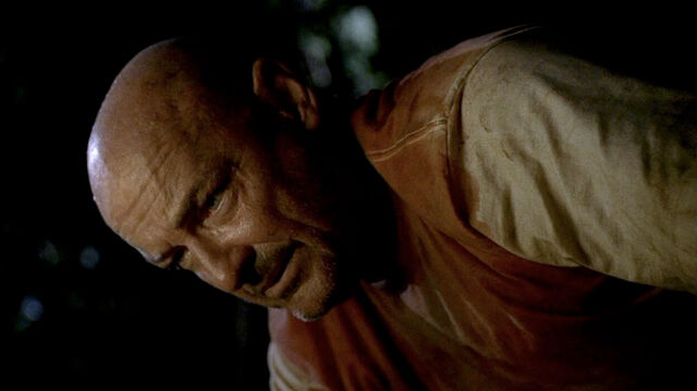 Archivo:1X19-LockeIsland.jpg