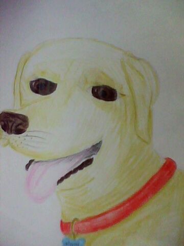 File:Vincent Dog.jpg