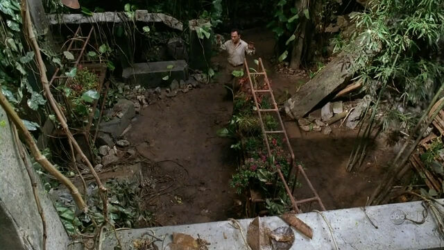 File:Orchidgreenhouse.jpg