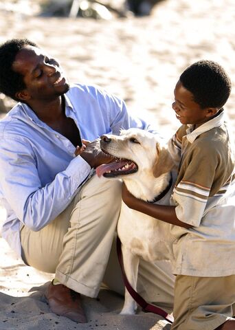 File:103dogreunited.jpg