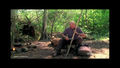 Thumbnail for version as of 23:53, May 10, 2010
