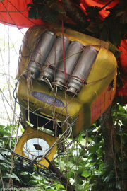 Balloon Closeup.jpg