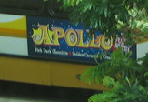 TheBus.jpg