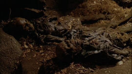 Adam&Eve 6x05.jpg