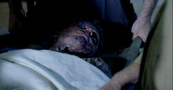 6x11-Simmons-tot.jpg