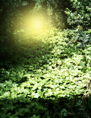 File:Island Glow.png