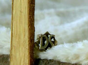 Ring.jpg