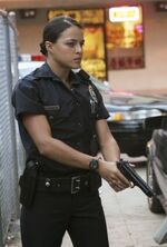 Policeana.jpg