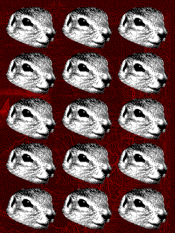 File:Bss1 15heads.png