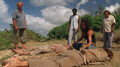 Thumbnail for version as of 01:37, July 25, 2009