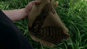 5x16-statue-cloth-in-Jacob-cabin
