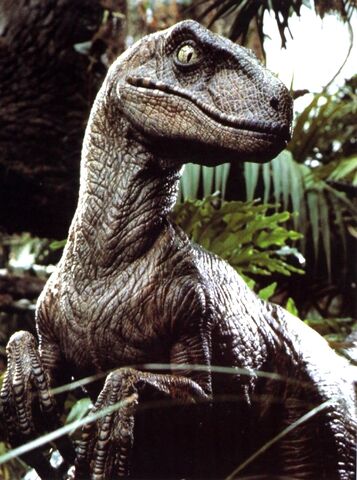 File:2velociraptor.jpg