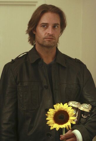 File:Sadsunflower.jpeg