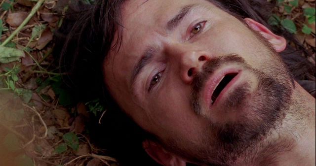 File:5x14 Faradead.png