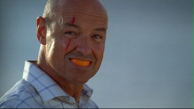 File:Normal normal-1x01-437.jpg