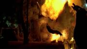 Tent explosion.jpg