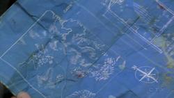 Cabin map.png