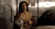 3X11 AmiraCat.jpg