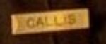 Kevin callis badge.jpg