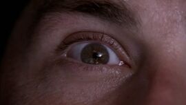 Lost-Jacks-eye