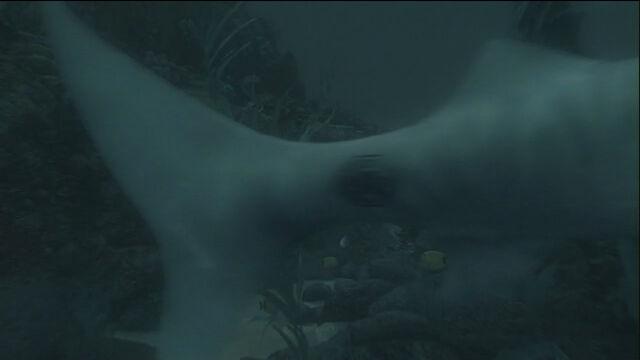 File:6x01-Sunken Feeling.jpg