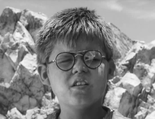 essays on lord of the flies piggy essays on lord of the flies piggy