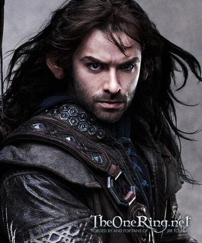 File:Kili-aidanturner-p.jpg