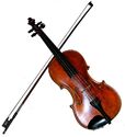 Violine