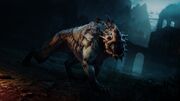 Schatten-Caragor