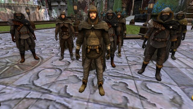 File:GreyCompanyLOTRO.jpg