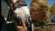 Legolas und Arod