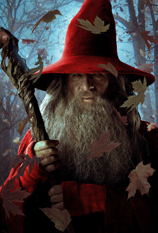 File:Gandalf the Red.jpg
