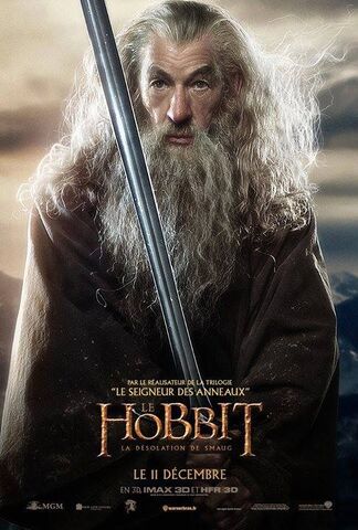 File:FR Desolation - Gandalf.jpg