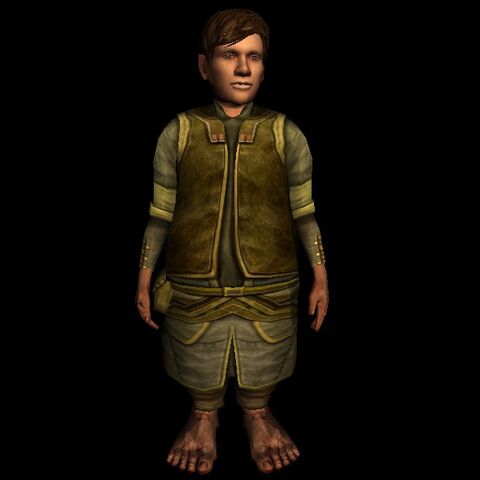 hobbit bathrobe