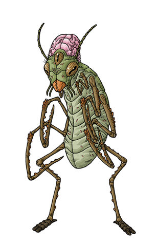 File:Insectphil.jpg