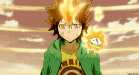 400px-Tsuna-sawada-tsuna-tsunayoshi-26269281-497-269