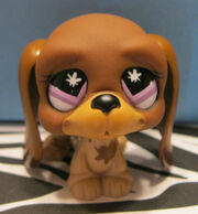 Lpshound