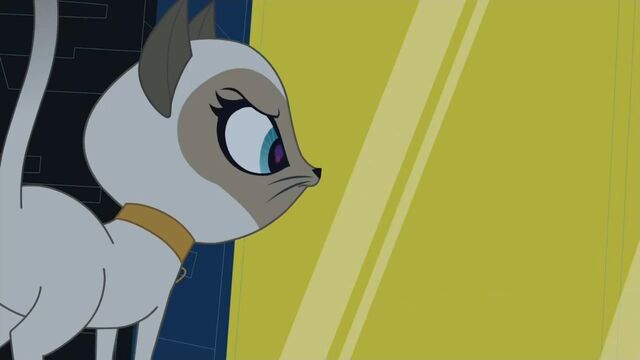 File:ScreenCapture 07.08.13 1-18-58.jpg