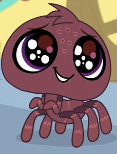 Weber | Littlest Pet Shop (2012 TV series) Wiki | Fandom powered by Wikia
