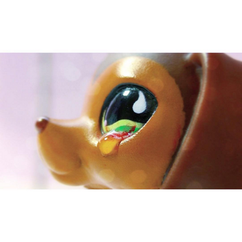 File:Savvyinsta1.png
