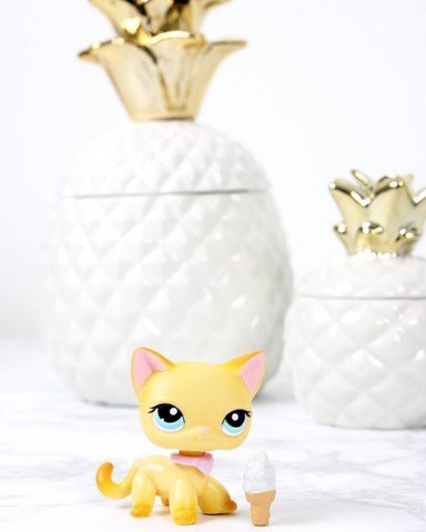 File:Instacuteness2.png