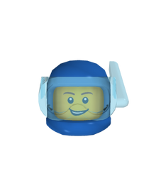 Head216