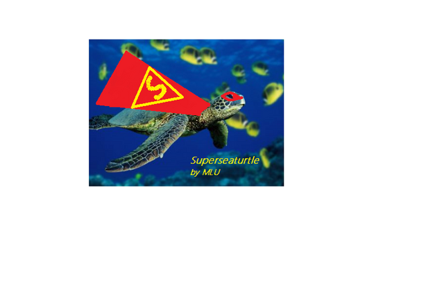 File:Turtleee.png