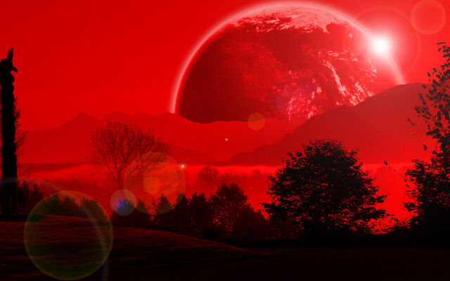 Plik:Red1.jpg