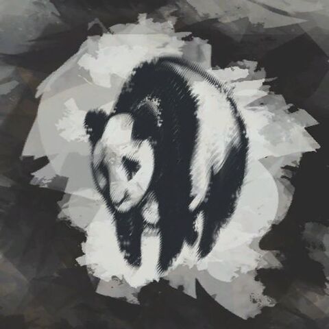 File:Env fv panda-pictogram.jpg